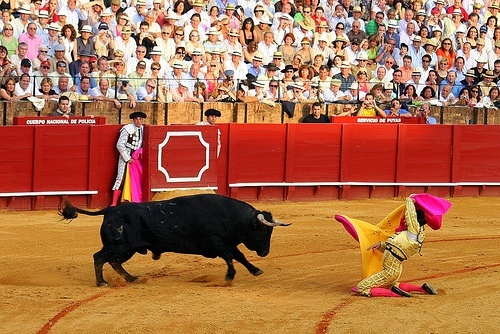 torero y corrida